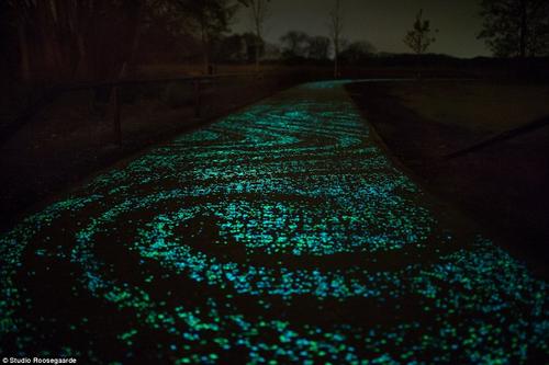 van Gogh's 'Starry Night' Transformed into Solar-Powered Bike Path