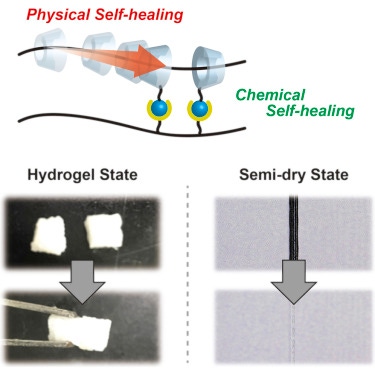 Osaka University Researchers Develop Self-Healing Materials for Drier Environments