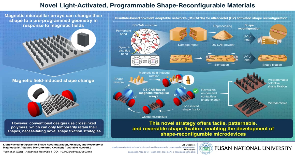 Shape-Shifting Polymers Emerge for Smart Surfaces