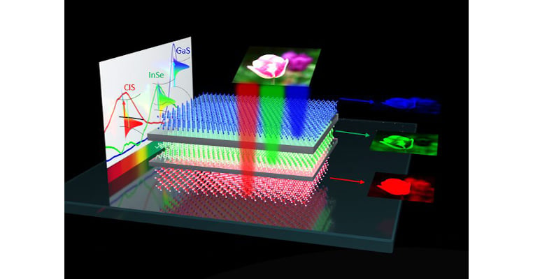 Scientists Inch Closer to Invention of Electric Eye