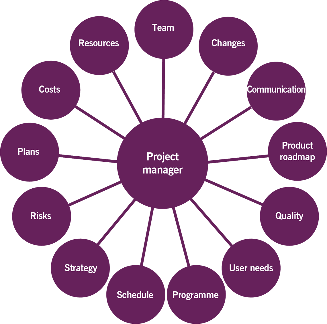 Image of Figure 4.1 shows the facets of the project manager role