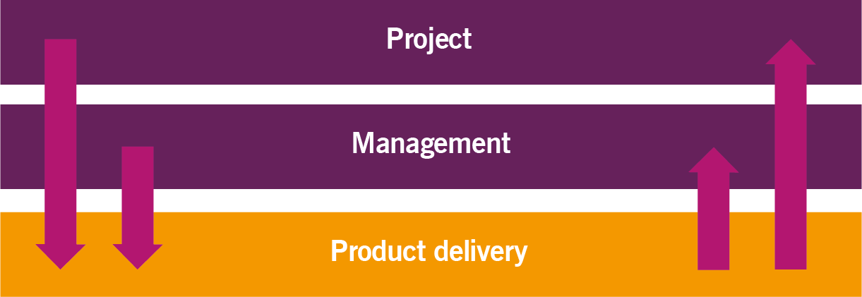 Image of Figure 2.6 represents Directing, managing projects and delivering products in an organization
