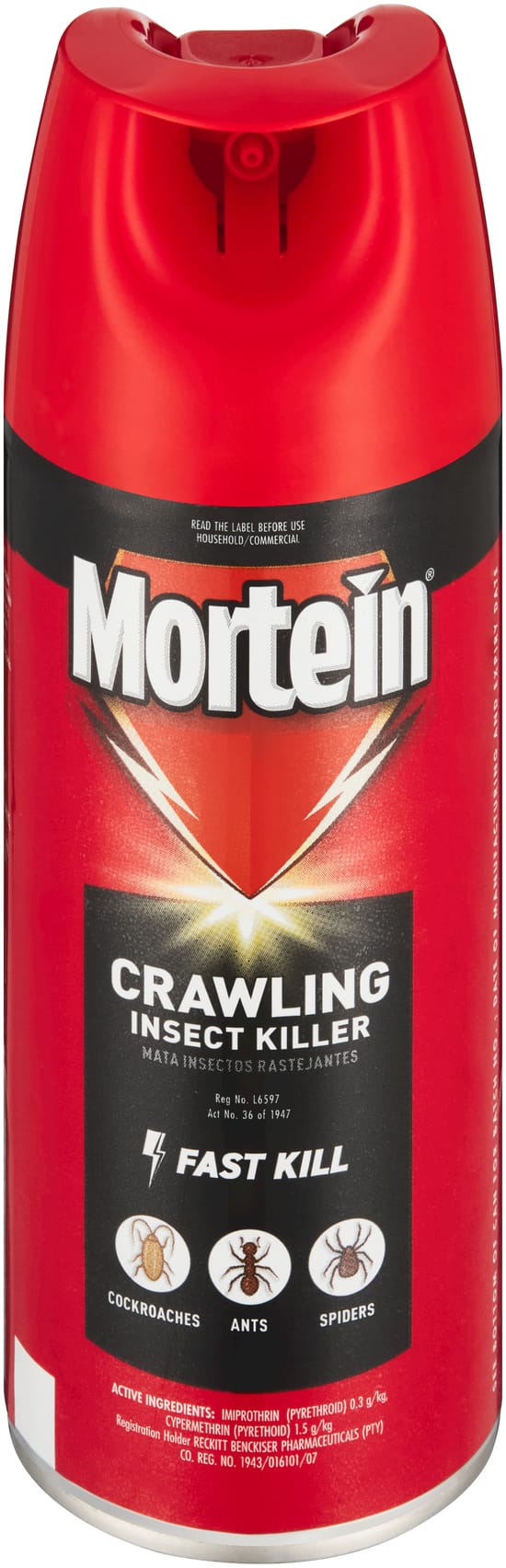 Mortein Instant Power Aerosol