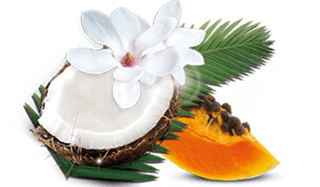 airwick_fragrances_19_tropical