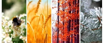 guiacutea-de-aromas-aiwick-y-estaciones.jpg