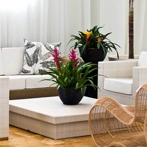 Buscar Inspiracion Global