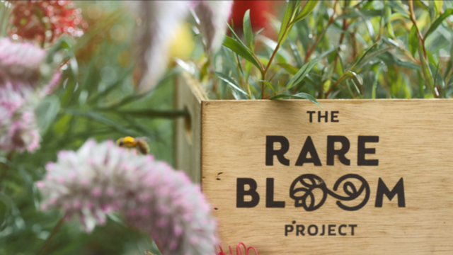 Together for Wildflower Habitats