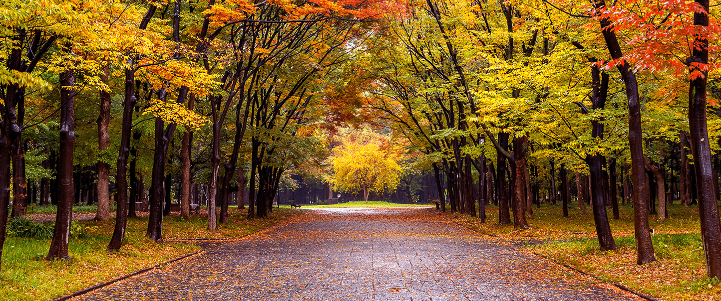 fragrancias-estacoes-do-ano