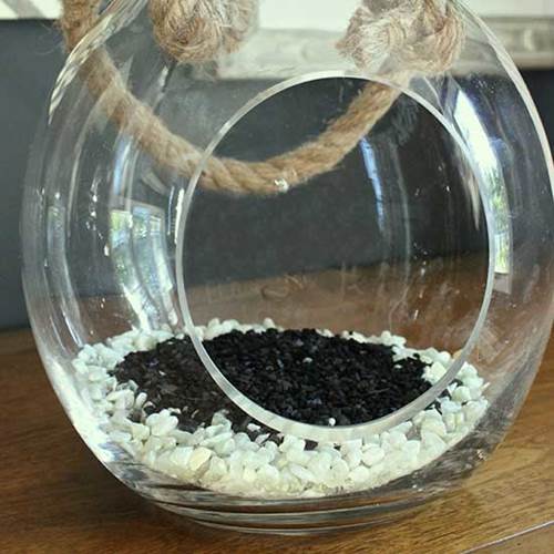 diy_module_nature_refreshing_terrarium1.jpg