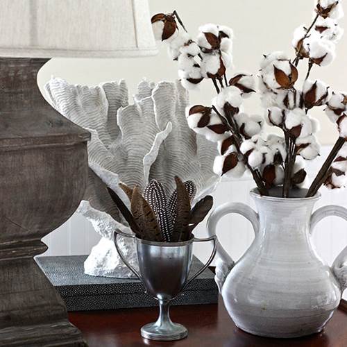 Trae la Naturaleza Adentro