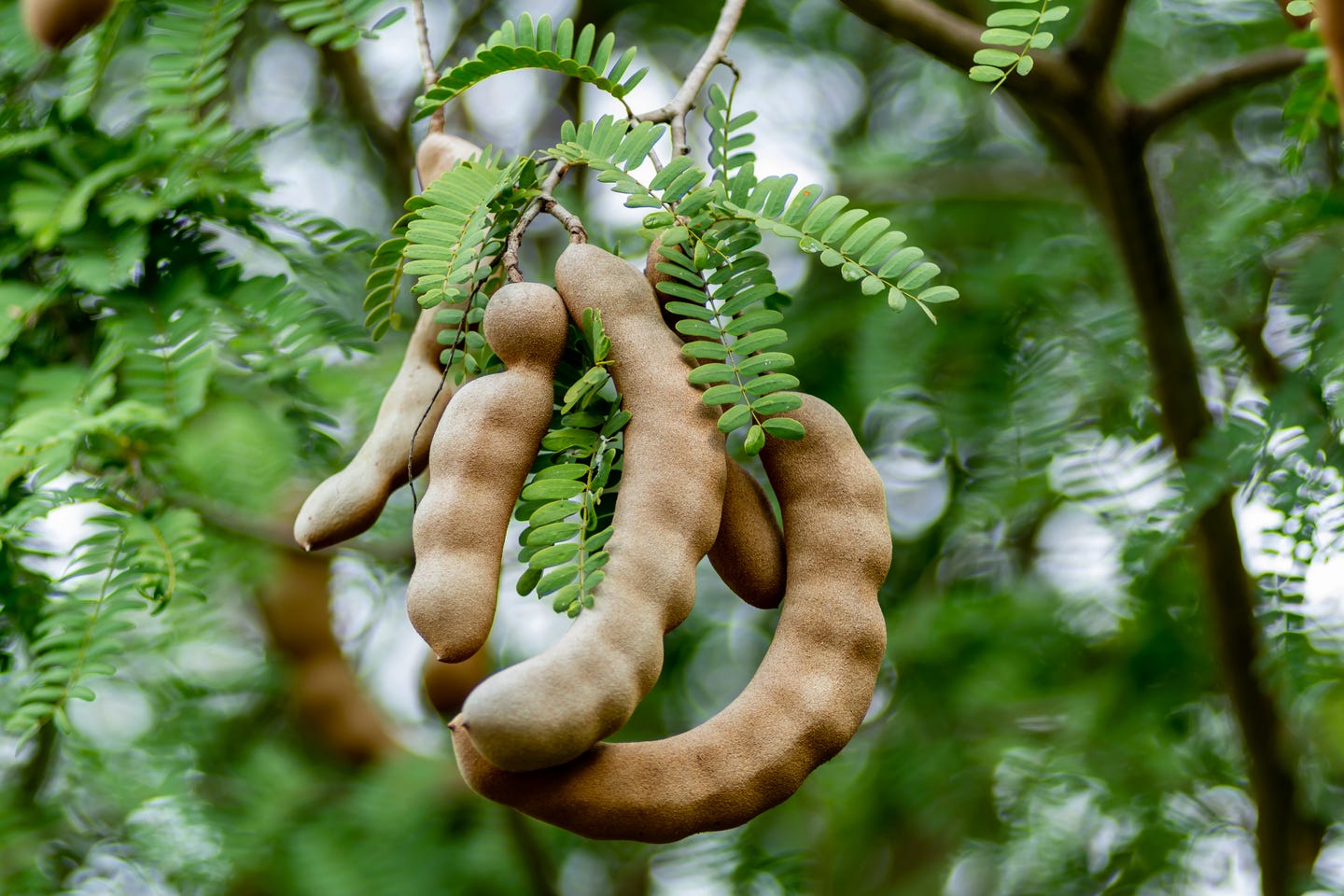 How To Help Relieve Constipation at Home: Lifestyle Tips & Remedies