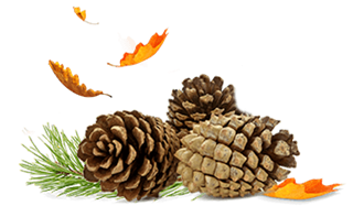 airwick_fragrances_17_outdoor