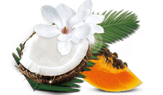 Fragranza Tropicale