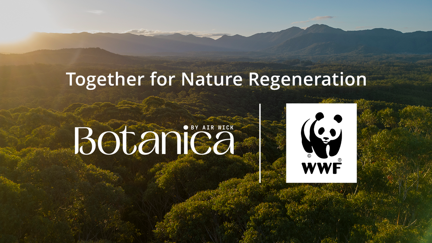 Overlay WWF Logo_Sep2024_Opt1_V1