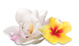 airwick_fragrances_12_floral