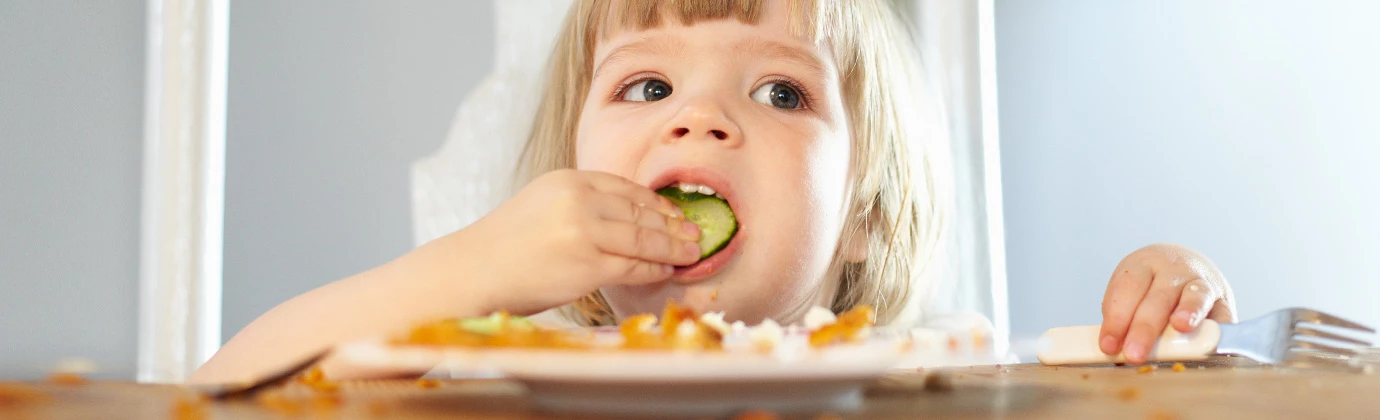  Importância dos grupos de nutrientes no funcionamento do corpo