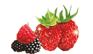 airwick_fragrances_110_fruity_a