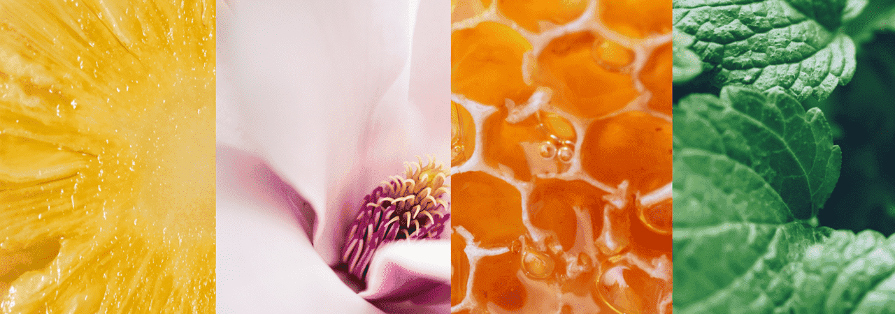 1-botanica-by-air-wick.png
