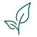 For Nature Regeneration