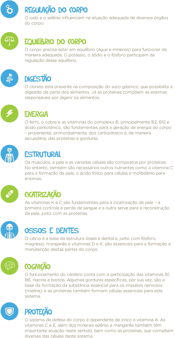 Importância dos grupos de nutrientes no funcionamento do corpo