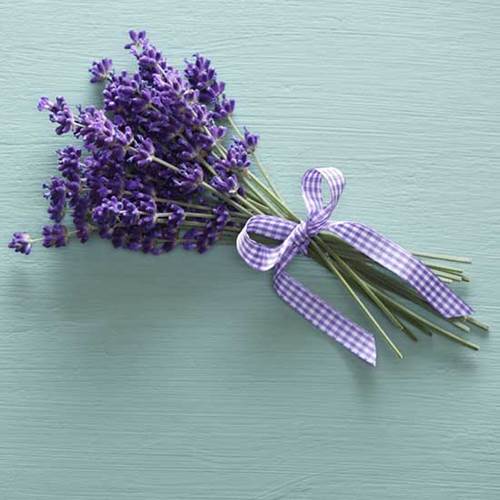 Colgador de Puerta de Lavanda