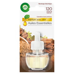 Recharges Électriques