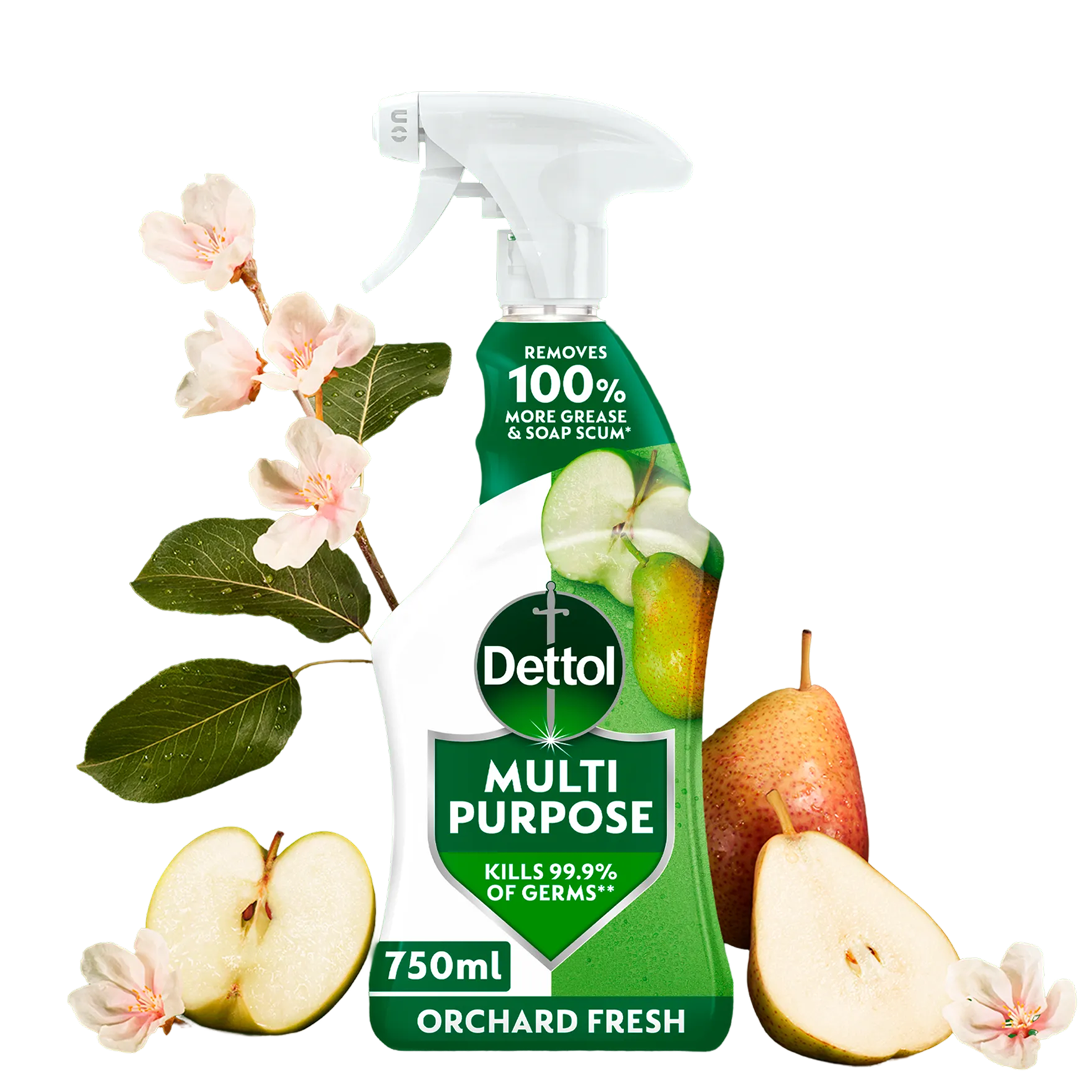 Dettol Multipurpose Spray Orchard Fresh 750ml