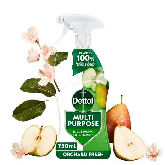 Dettol Multipurpose Spray Orchard Fresh 750ml