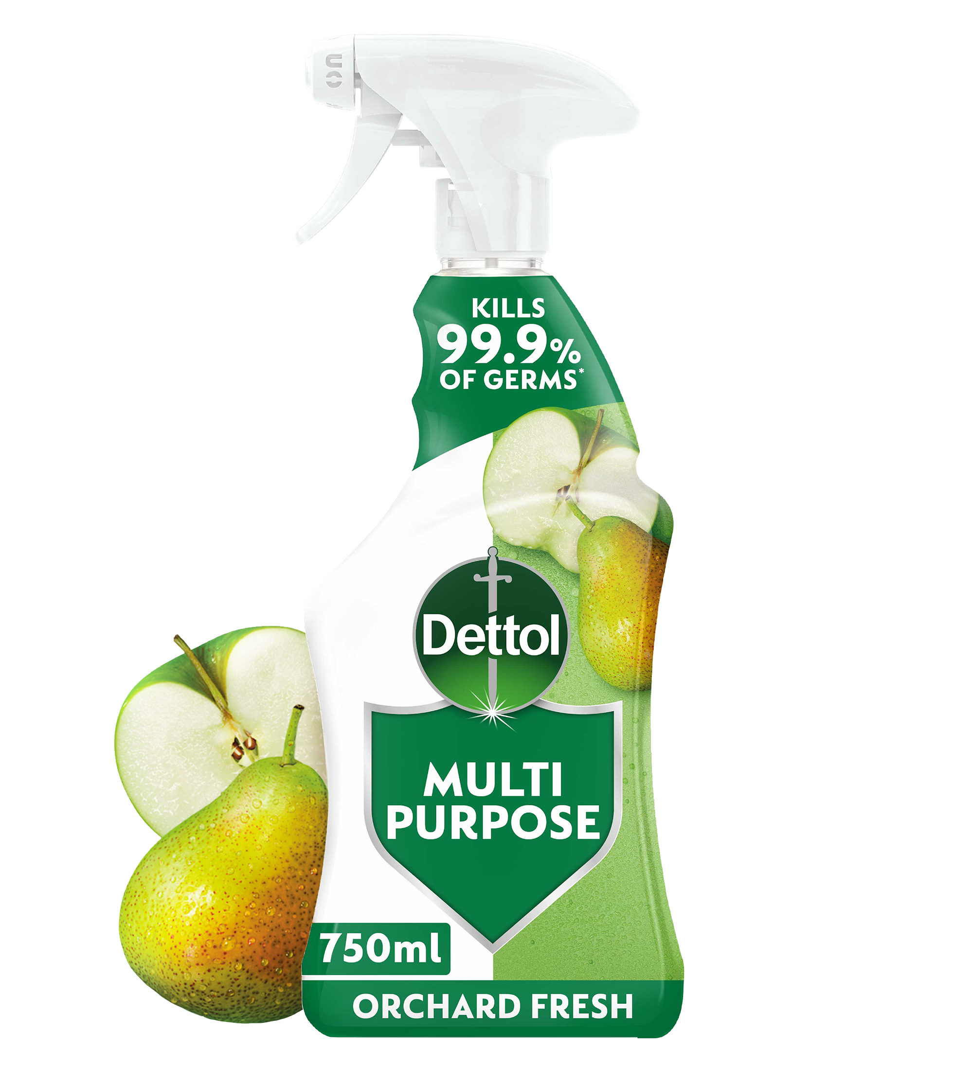 Dettol Multipurpose Spray Orchard Fresh 750ml
