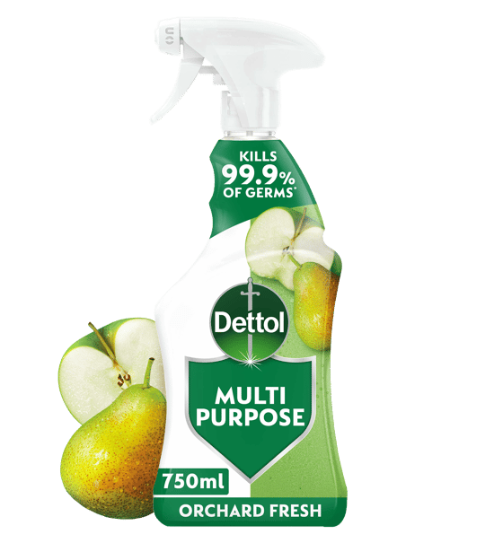 Dettol Multipurpose Spray Orchard Fresh 750ml