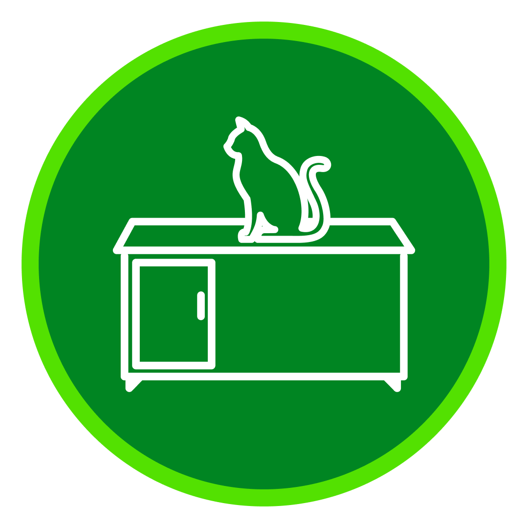 Pet Contact Surfaces