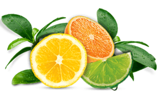 airwick_fragrances_11_citrus