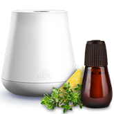 Diffuseur de Parfums aux Huiles Essentielles