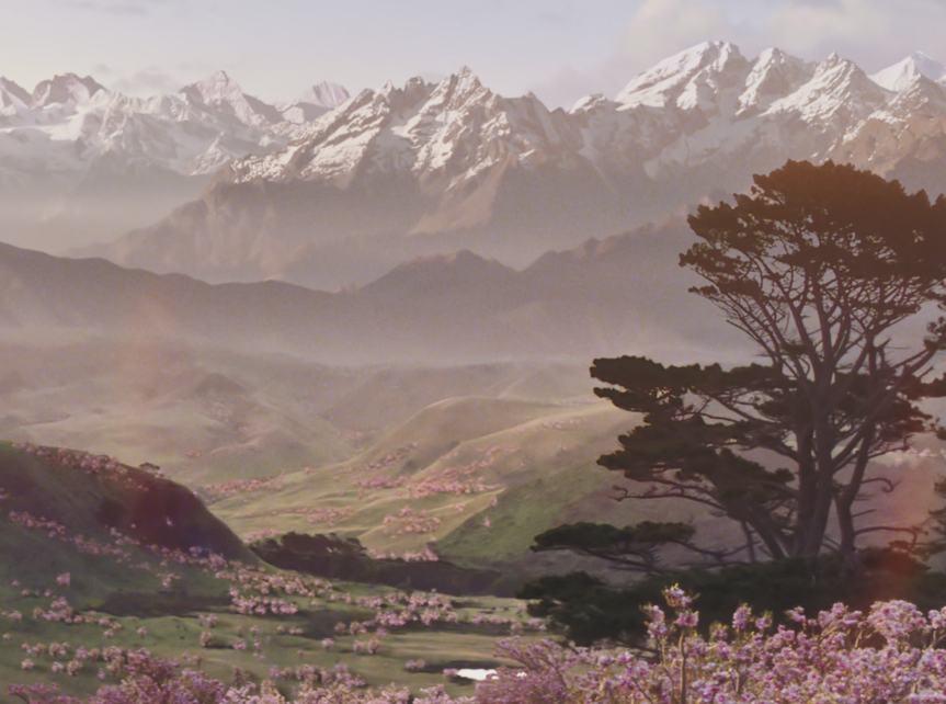 magnolia-ingredient-image