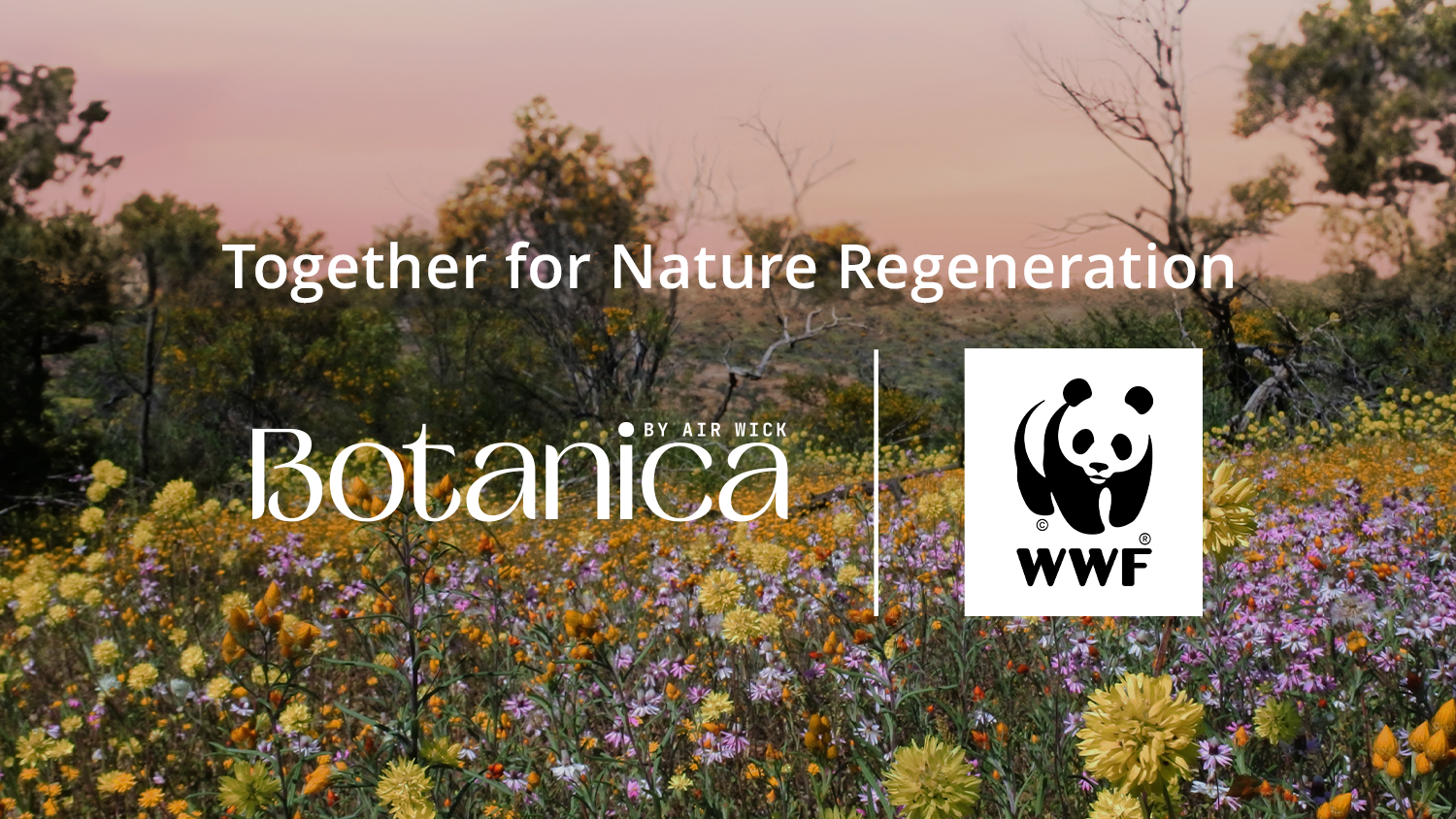 Logo_Sep2024_Opt3_V1