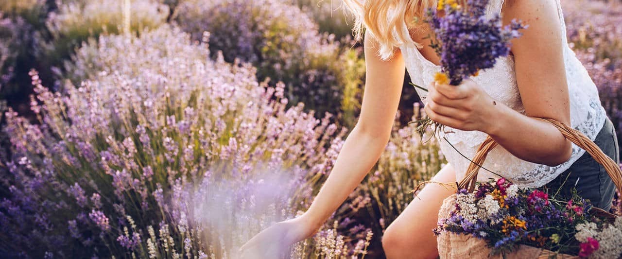 Fragrances Hero Image