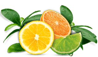 Fragranza agli Agrumi