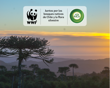 NUESTRA ALIANZA GLOBAL CON WWF® AIR WICK®