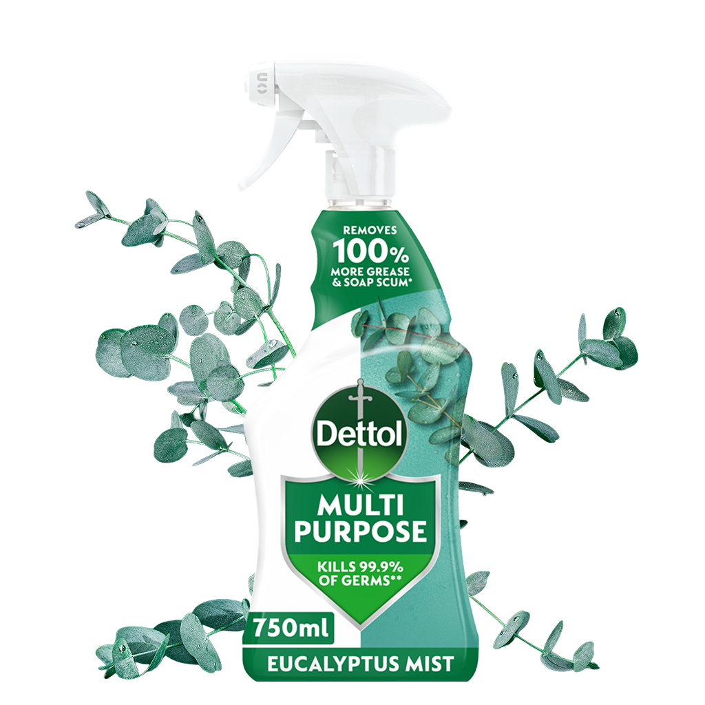 Dettol Multipurpose Spray Eucalyptus Mist 750ml