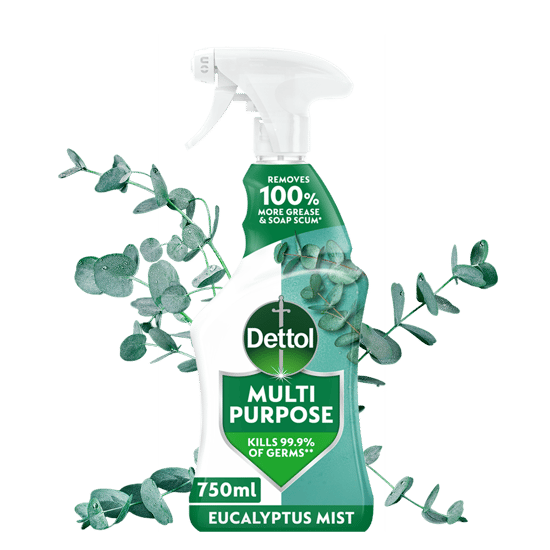 Dettol Multipurpose Spray Eucalyptus Mist 750ml