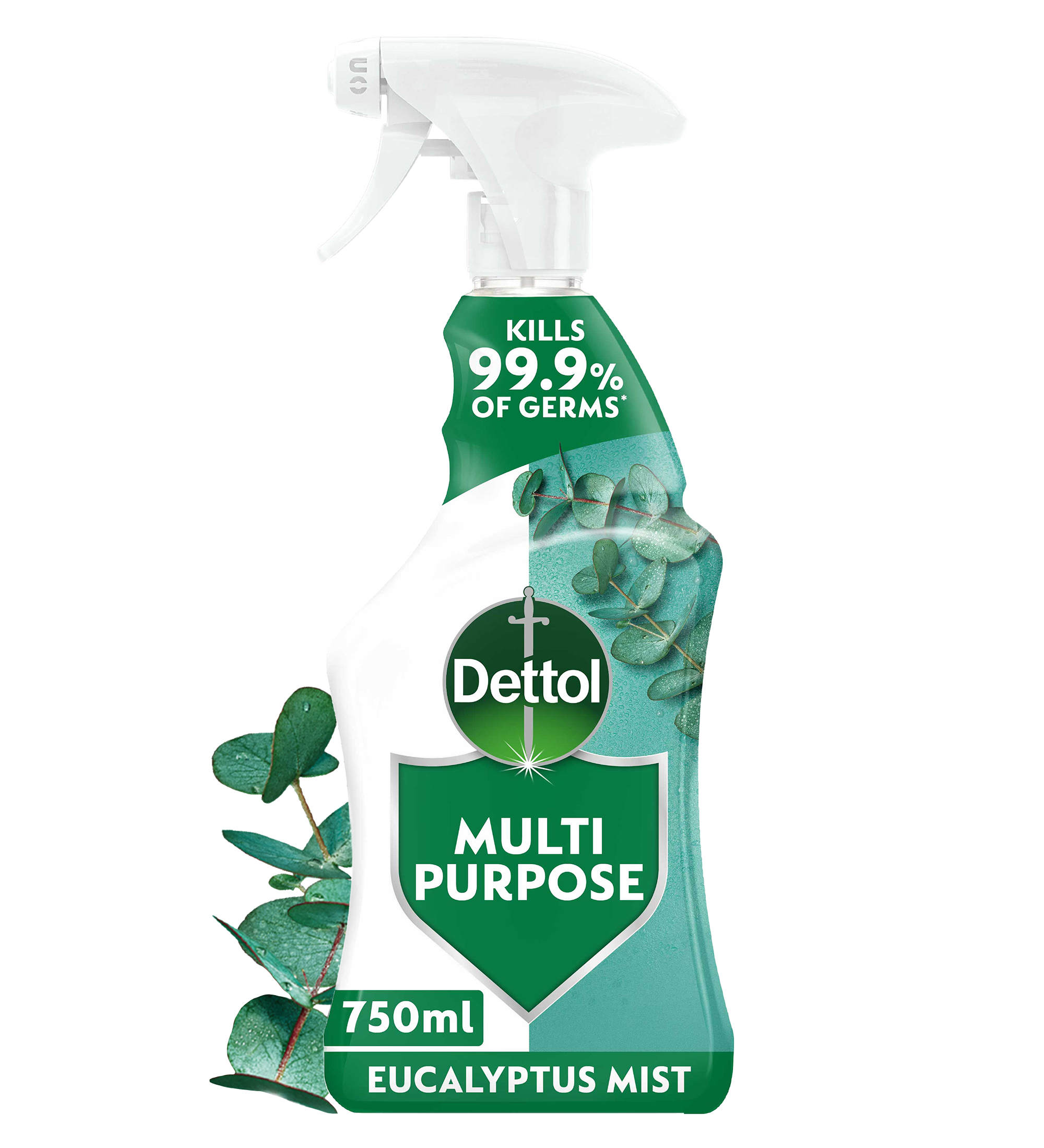 Dettol Multipurpose Spray Eucalyptus Mist 750ml