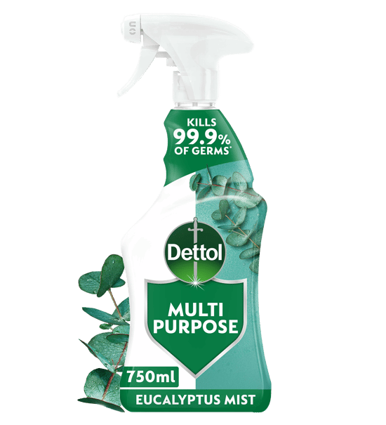 Dettol Multipurpose Spray Eucalyptus Mist 750ml