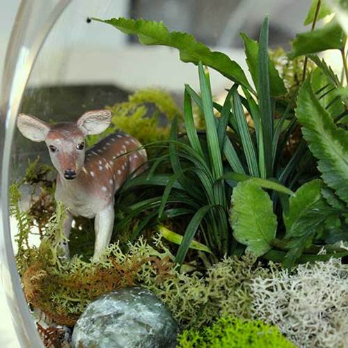 diy_module_nature_refreshing_terrarium4.jpg
