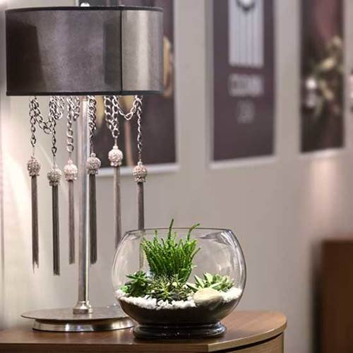 Elige Acentos Atractivos