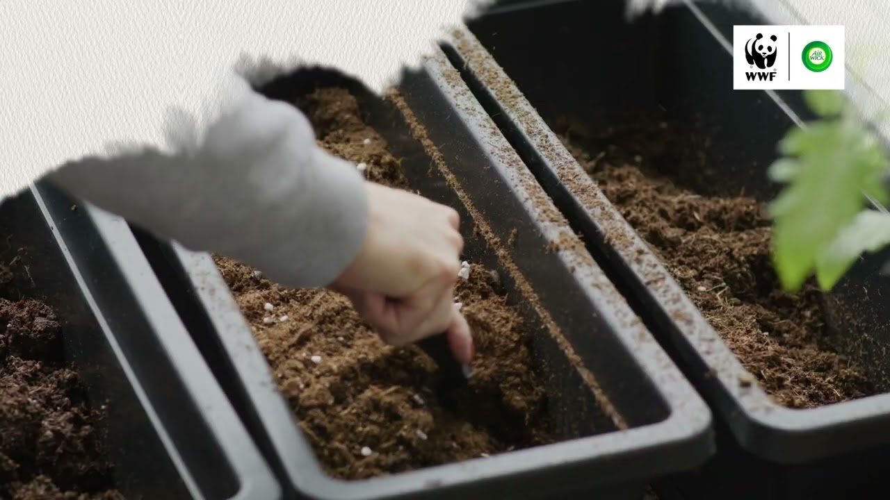 ¡La mariposa Monarca te necesita y nosotros también!