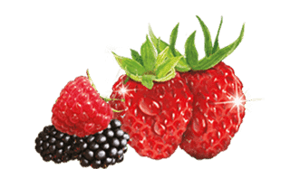 Fragranza Fruttata