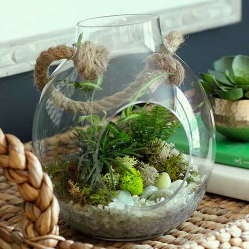 diy_module_nature_refreshing_terrarium5.jpg