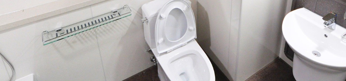 toilets1_(1).png