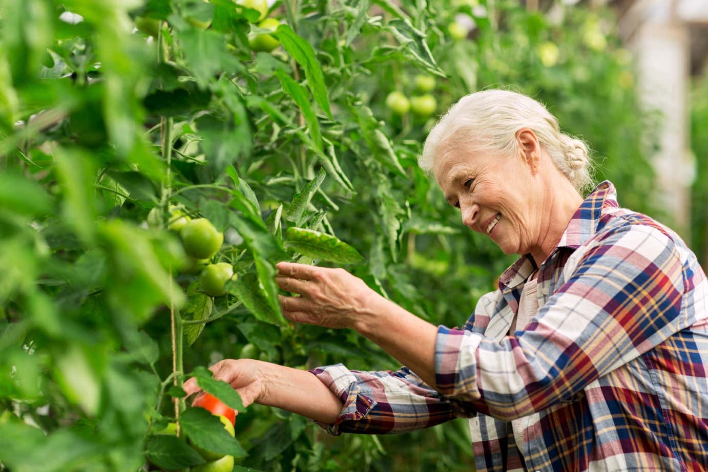 Woman gardening
