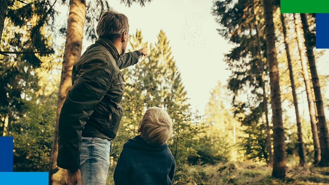Father pointing at birds